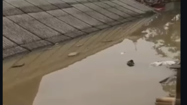 Banjir mencapai 3 meter, hingga menyentuh atap rumah warga Kampung Kampek, Karawang, Jawa Barat, terjadi hingga 19 Januari 2026. Sekitar 667 rumah warga, termasuk rumah panggung karya Dedy Mulyadi juga terendam. Foto: Instagram@karawanginfo_offcial
