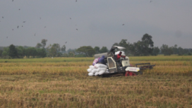 Bantuan satu unit perlatan pertanian berupa combine harvester yang seharusnya diteima oleh Gapoktan Megaluh, Jombang, dipastikan hilang. Alat itu tidak pernah sampai ke tangan petani. Perangkat ini hilang, sejak awal diserahkterimakan. Foto: ilustrasi/ elok apriyanto
