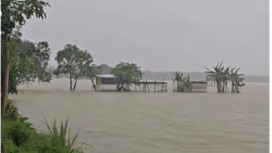 Musim penghujan menjadi penyebab utama swah di wilayah Jombang terendam. Terdapat ratusan hektar yang terkena banjri bencana alam ini. Ketugian akibat banjir itu diampu asuransi Jasindo. Foto: srwarajombang.com/ elok apriyanto
