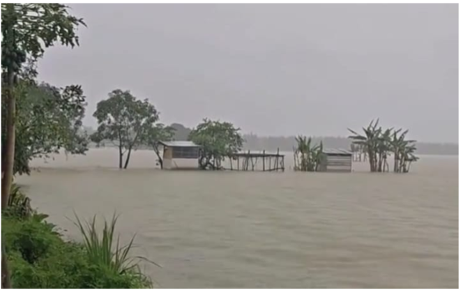 
					Musim penghujan menjadi penyebab utama swah di wilayah Jombang terendam. Terdapat ratusan hektar yang terkena banjri bencana alam ini. Ketugian akibat banjir itu diampu asuransi Jasindo. Foto: srwarajombang.com/ elok apriyanto