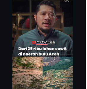 Laporan Ridho Rahmadi, pakar AI, tentang kajian penyebab banjir bandan di Aceh Tamiyang. Disebutkan bahwa 18 luas lahan sawit dari luas wialayah Wilayah Aceh Tamiyang. Foto: tangkap layar video Yourube@Ridho Rahmadi
