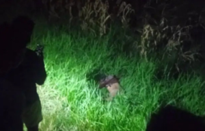 Seorang pria bernama Sudarmawan warga Jabon, Jombang, ditemukan meninggal dunia akibat terserempet KA Turangga, di lokasi Temuwulan, Perak, Jombang, Rabu malam 31 Desember 2025. Foto: swarajombang.com/elok apriyanto