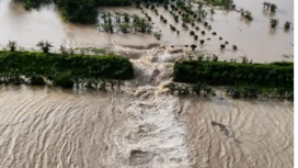 Ada dua tanggul Sungai Tuntang jebol, Senin 16 Februari 2026., di kabupayen Demak. Air meluber ke kampuang-kampugn, menyebabkan jalur Demak-Semarang tidak dapat dilalui kendaraan. Foto: Instagram@a6_gabuts 