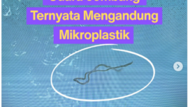 Lembaga Swadaya Masyaralat (LSM) Ecoton telah melakukan survei tentang kesehatan duara mdi wilayah Jombang 19 Januari 2026. Hasilnya dirilis Senin, 9 Febarui 2026, menyebutkan udara di Jombang tercemar mikroplasti. Foto: Instagram@ekocton.id