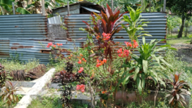 Inilah rumah yang pernah menjadi tempat tinggal R Sokeni, orang tua Bung Karno, bahkan disitul pula proklamtor RI itu dilahirkan. Foto; swarajombang.com/ elok apriyanto