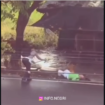 Sedikitnya lima kali, Aipda Muhammad Fadjri memukul-mukul tongkat kle tubuh anjing pitbull yang sedang menerkam Nu Samsi, 68, yang terjatuh di tanah. Setelah terkena pukulan kelima, Pitbull itu melepas gigtannya pada lengan korbannya. Foro: Instagram@infonegeri