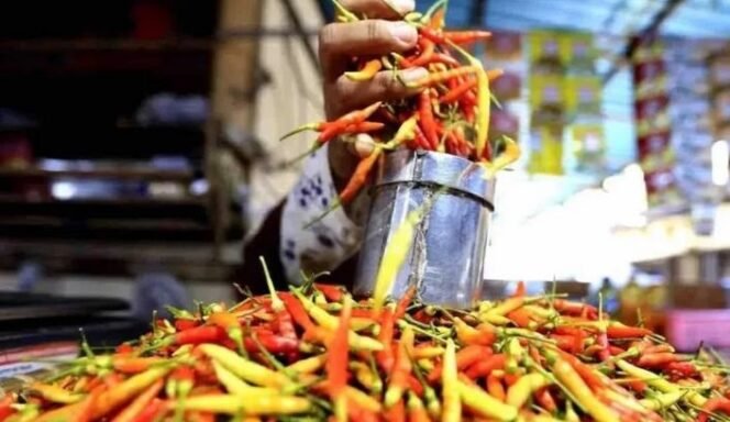 
					Harga Cabai Rp131 Ribu, Lainnya Ikutan Naik