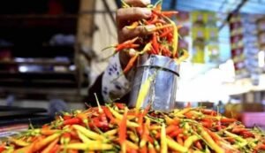 Harga Cabai Rawit Anjlok di Jatim, Jadi Rp45 Ribu Per Kg