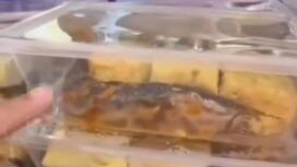 Inilah pakwt MBG yang ditolak oleh kepsek SMA2 Pamekasan, Senin  9 Maret 2026. Foto: Ist