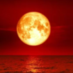 Inilah pemandangan nan elok fenomena alam gerhana bulan mera atau disebut dengan Blood Moon, bertepatan dengan bulan Ramadham terjadi Selasa sore, 3 Maret 2026. Foto: ist