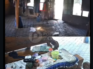 Pewrsitiwa mengerikan terjadi di Dusun Gundih RT 1 RW 4, Desa Sengonwetan, Kecamatan Kradenan, Kabupaten Grobogan, Jawa Tengah, Minggu siang 29 Maret 2026. Seorang ODGJ mengamuk dan meneyrang orang-orang yang ditemui, menyebabkan satu orang tewas dan liam lainnya harus dirawat di rumah sakit. Foto: Instagram@poplerzone