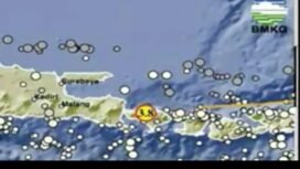 Ilustrasi gempa di Buleleng dan Timor. Foto:  BMKG
