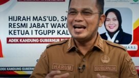 Inilah argumentasi gubernur Kaltim, Rudy Mas'ud angkat adik kandung Hijrah Mas'ud jadi wakil ketua I TAGUPP. Sama seperti Presiden Prabowo angkat Hashim Dojohadikusumo sebagai staf ahli presiden. Foto: Instragram@sapos.id