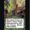 Alas Petung desa Clebung, Kecamatan Bubulan, Kabupaten Bojonegoro, Jawa Timur, menjadi lokasi black spot alias lokasi rawan kecelakaan. Dalam tempo hampir sebulan sudah terjadi 12 kali kecelakaan di kawasan itu, Foto: Instagram@berita_bojonegoro