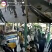 Puluhan orang mengamuk, merusak dan memotong pohon mangga dalam rekaman CCTV. Setelah terjadi seorang pencuri mangga tewas, setelah kepergok pemilik di kelurahan Apiapi, kota Bontan, Kalimanran Timur. Foto: instagram@indonesiaku.id