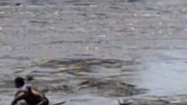 Puluhan warga turun ke sungai Brantas untuk menangkap ikan, pasca flushing (pelepasan air) di waduk PLTA Wlingi, Senin 18 Mei  2026. Tiga warga terseret arus, dua selamat dan satu orang hilanf. Foto: ist