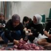 PT Pegadaian Kanwil XII Surabaya membentuk panitia aksi Peduli Pangan Sehat dalam merayakan Iedul Adha 2026. Membagikan 1.000 paket daging dari 11 ekor sapi dan 78 kambing. Foto: ist