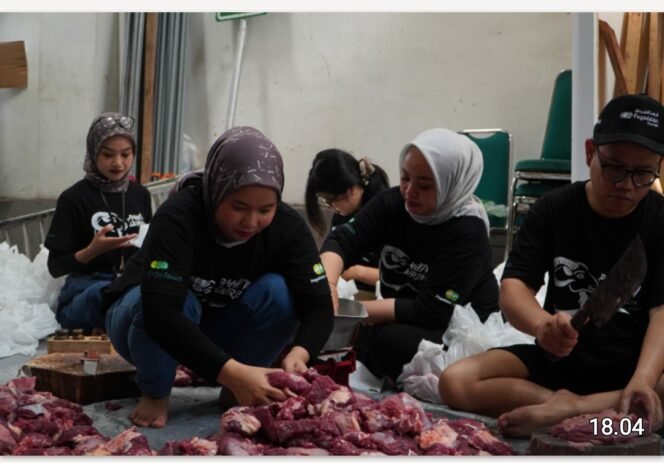 
					PT Pegadaian Kanwil XII Surabaya membentuk panitia aksi Peduli Pangan Sehat dalam merayakan Iedul Adha 2026. Membagikan 1.000 paket daging dari 11 ekor sapi dan 78 kambing. Foto: ist
