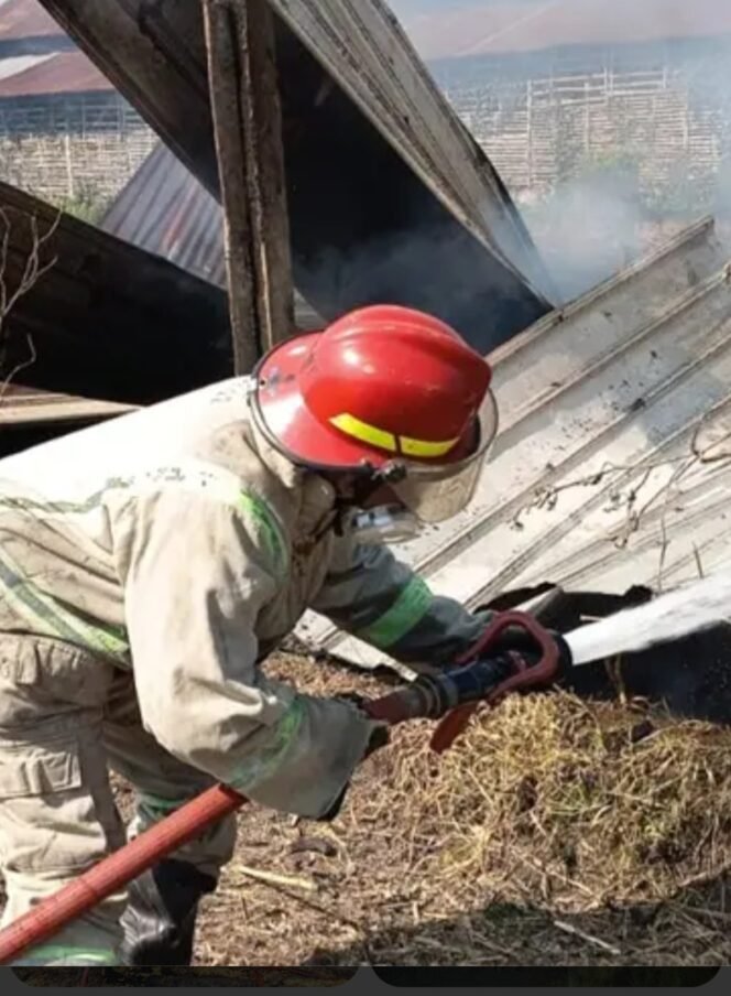 
					Pasukan Damkar BPBD Jombang butuh waktu hingga lima jam untuk padamkan kebakaran gudang serbuk kayu di Mojowarno. Kebakaran ini sulit dipadamkan, karena material serbuk kayu. Foto: ist