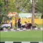 Tim kesehatan melakukan evakuasi korban terkena peluru nyara, saat latihan menembak pasukan Batalyon Infanteri 133, Selasa sore 3 Juni 2026. Foto: instagram@infopadang