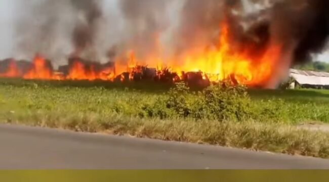 Sebuah bangunan kandang ayam ludes terbakar di Dusun Bantengan, Desa Tanjunggunung, Kecamatan Peterongan, Kabupaten Jombang, Jawa Timur.

Peristiwa nahas ini terjadi pada Kamis (4/6/2026) siang. Foto: pojok_update