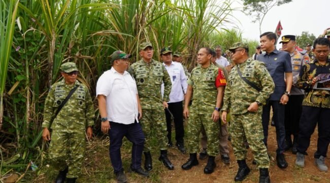 Lahan seluas 86 ha di desa Grobogan, Mojowarno, Jombang, ditinjau oleh Pangdam Mayjen TNI Rudi Saladin, akan digunakan sebagai markas Batalyon TP. Foto: diskominfo pembak jombang