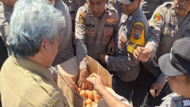 Bagi telur gratis