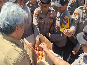 Bagi telur gratis