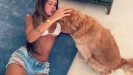 Influencer Brasil