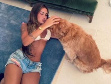 Influencer Brasil