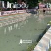 Sudah 10 tahun lebih, warga dan penghuni Ponpes Darul Ulum, Peterangan Jombang, hirup udara menyengat akibat limbah tahun yang dialirkan ke sungai Rejoso tanpa melalui pengolahan IPAL. Foto: instgaram@jombanginformasi_