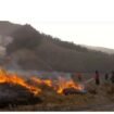 Kebakaran Gunung Bromo menghanguskan sekitar 120 hektare, diduga dipicu aktivitas manusia, bukan faktor alam. (Foto: X/@juanjulianto2)
