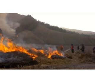 Kebakaran Gunung Bromo menghanguskan sekitar 120 hektare, diduga dipicu aktivitas manusia, bukan faktor alam. (Foto: X/@juanjulianto2)
