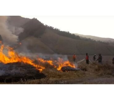 Kebakaran Gunung Bromo menghanguskan sekitar 120 hektare, diduga dipicu aktivitas manusia, bukan faktor alam. (Foto: X/@juanjulianto2)

