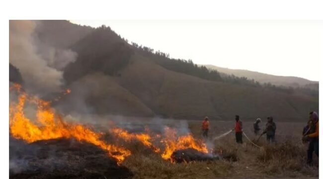 Kebakaran Gunung Bromo menghanguskan sekitar 120 hektare, diduga dipicu aktivitas manusia, bukan faktor alam. (Foto: X/@juanjulianto2)
