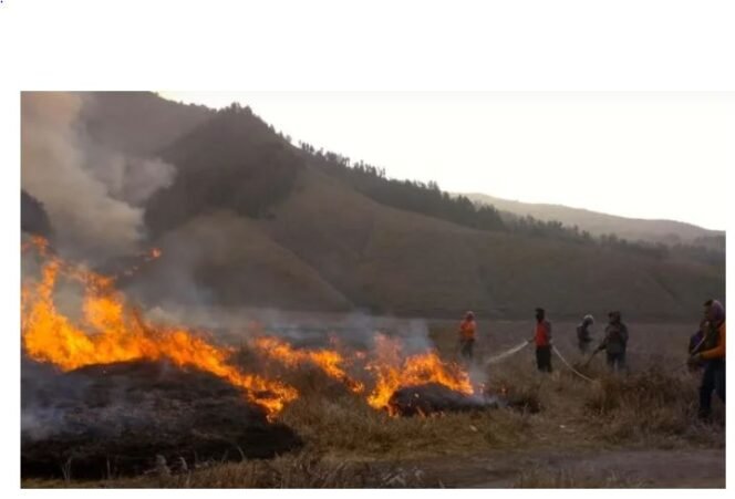
					Kebakaran Gunung Bromo menghanguskan sekitar 120 hektare, diduga dipicu aktivitas manusia, bukan faktor alam. (Foto: X/@juanjulianto2)
