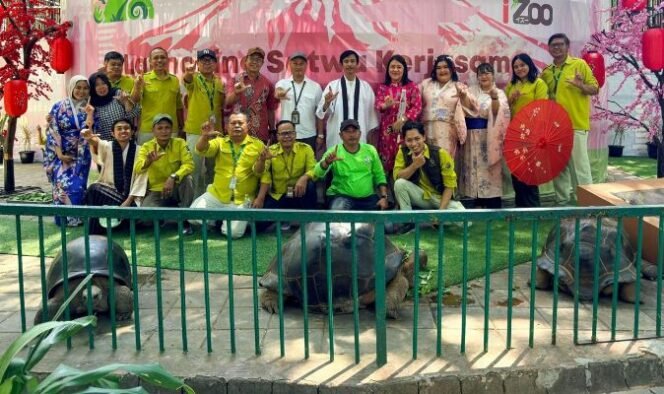 
					Kura-kura Terbesar Dunia, Kini Ada di KBS Surabaya