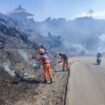 Karhutla Kawah Ijen