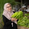 Pisang Cavendhis