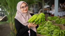 Pisang Cavendhis
