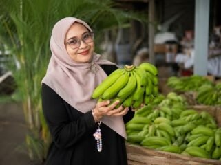 Pisang Cavendhis