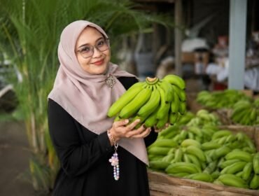 Pisang Cavendhis