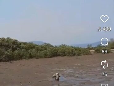 BMKG mengimbau masyarakat tenang karena bukan tsunsmi, saat ini air surut di pantai sekitar Serang. Foto: ist