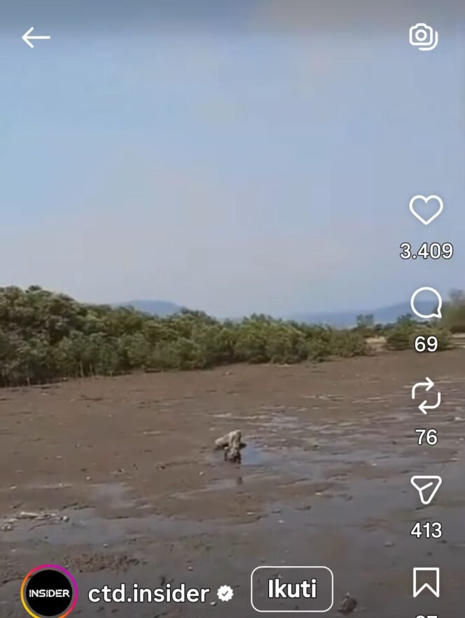 
					BMKG mengimbau masyarakat tenang karena bukan tsunsmi, saat ini air surut di pantai sekitar Serang. Foto: ist