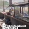 Polisi tengah mennyelidiki tindak pembakaran warung mie babi di pinggir sawah Sukoharjo, Sabtu dinihari, 12 September 2026. Foto: instgaram@wajahsumut_