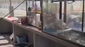 Polisi tengah mennyelidiki tindak pembakaran warung mie babi di pinggir sawah Sukoharjo, Sabtu dinihari, 12 September 2026. Foto: instgaram@wajahsumut_