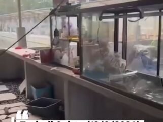 Polisi tengah mennyelidiki tindak pembakaran warung mie babi di pinggir sawah Sukoharjo, Sabtu dinihari, 12 September 2026. Foto: instgaram@wajahsumut_
