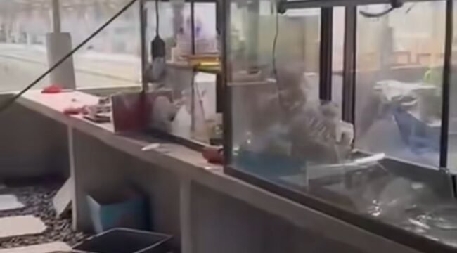 Polisi tengah mennyelidiki tindak pembakaran warung mie babi di pinggir sawah Sukoharjo, Sabtu dinihari, 12 September 2026. Foto: instgaram@wajahsumut_