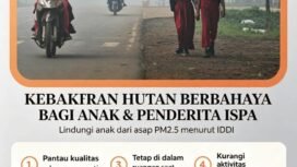 IDAI mengimbau pemerintah terus atasi karhutla, bukan sekadar bencana lingkungan biasa, tetapi bisa sebabkan kondisi darurat kesehatan bago anak anak. Foto: ist