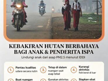 IDAI mengimbau pemerintah terus atasi karhutla, bukan sekadar bencana lingkungan biasa, tetapi bisa sebabkan kondisi darurat kesehatan bago anak anak. Foto: ist